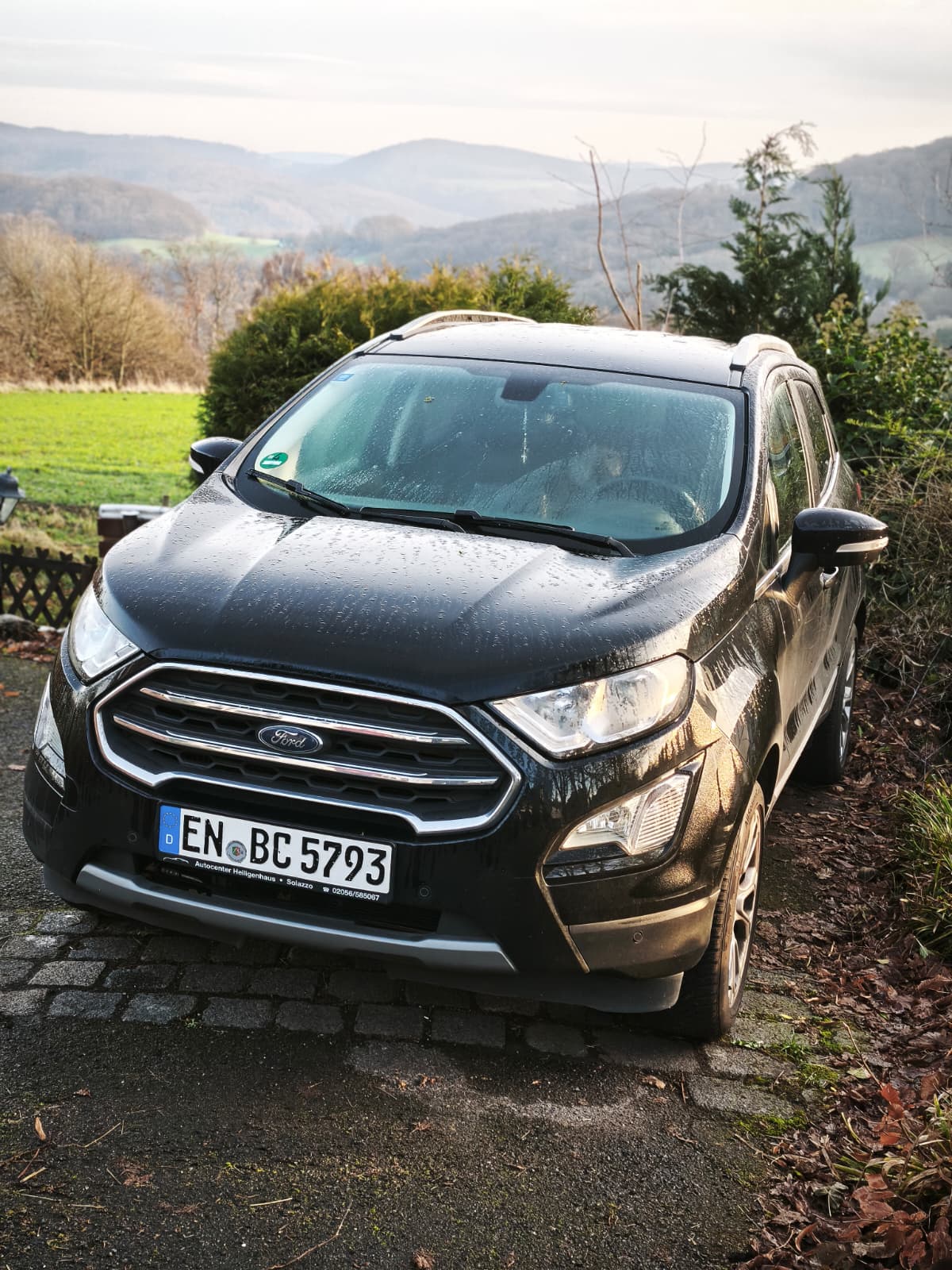 R. Patenschaft - Ford Ecosport