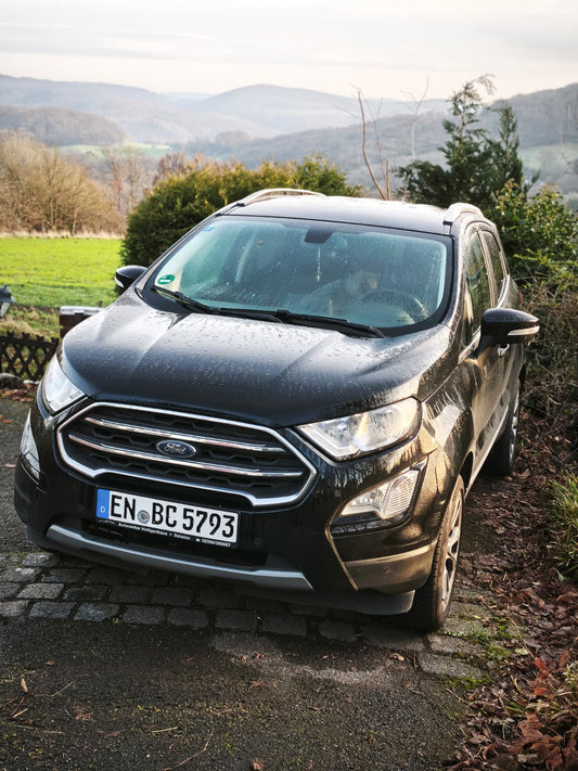R. Patenschaft - Ford Ecosport