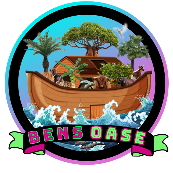 Bens Oase